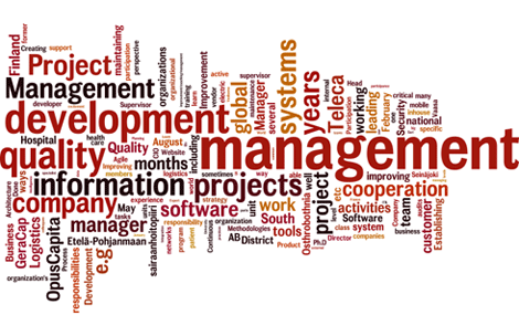 Wordle from my CV